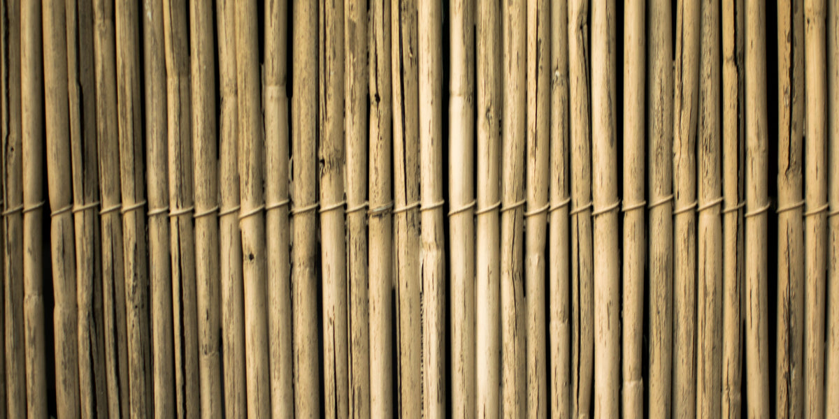 Advantages and disadvantages of bamboo drinking straws — Wisefood GmbH