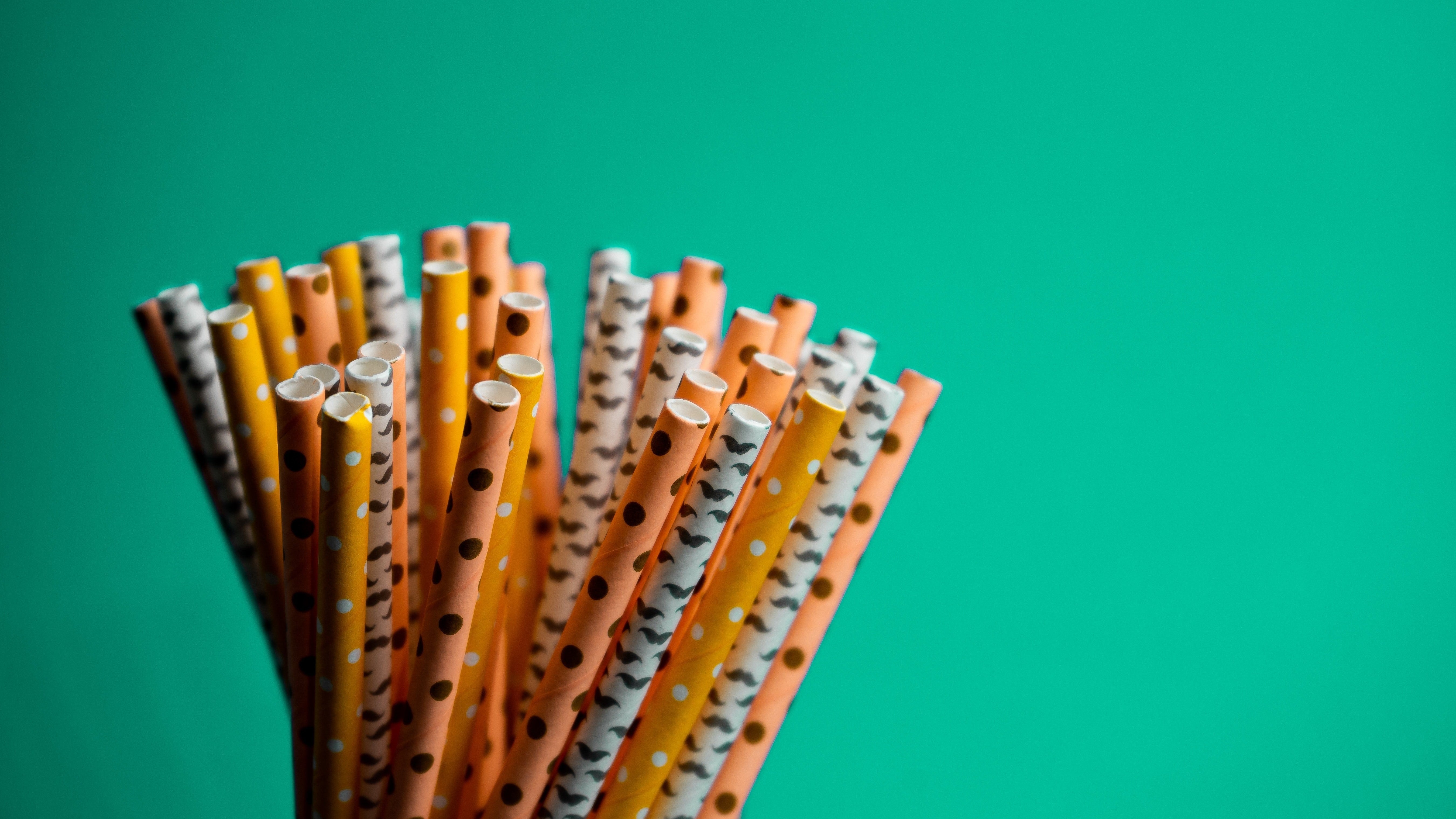A comparison of sustainable variants of the drinking straw — Wisefood