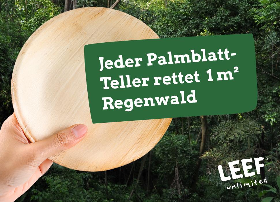 Warum Palmblatt?