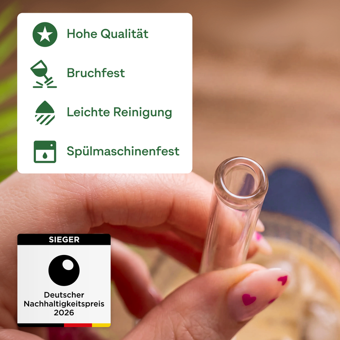 Glas Trinkhalm Set: 19 Halme + 4 Bürsten