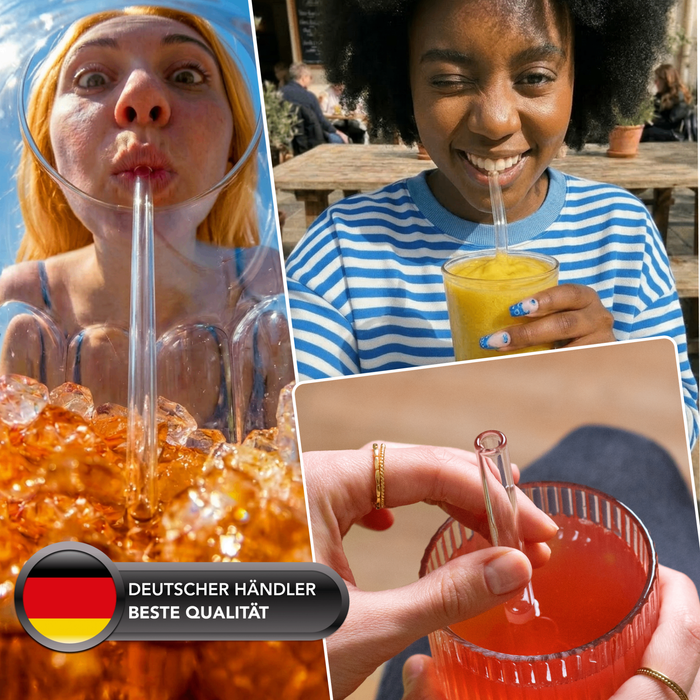 Glas Trinkhalm Set: 19 Halme + 4 Bürsten