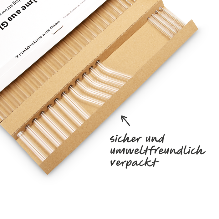 Glas Trinkhalm Set: 19 Halme + 4 Bürsten