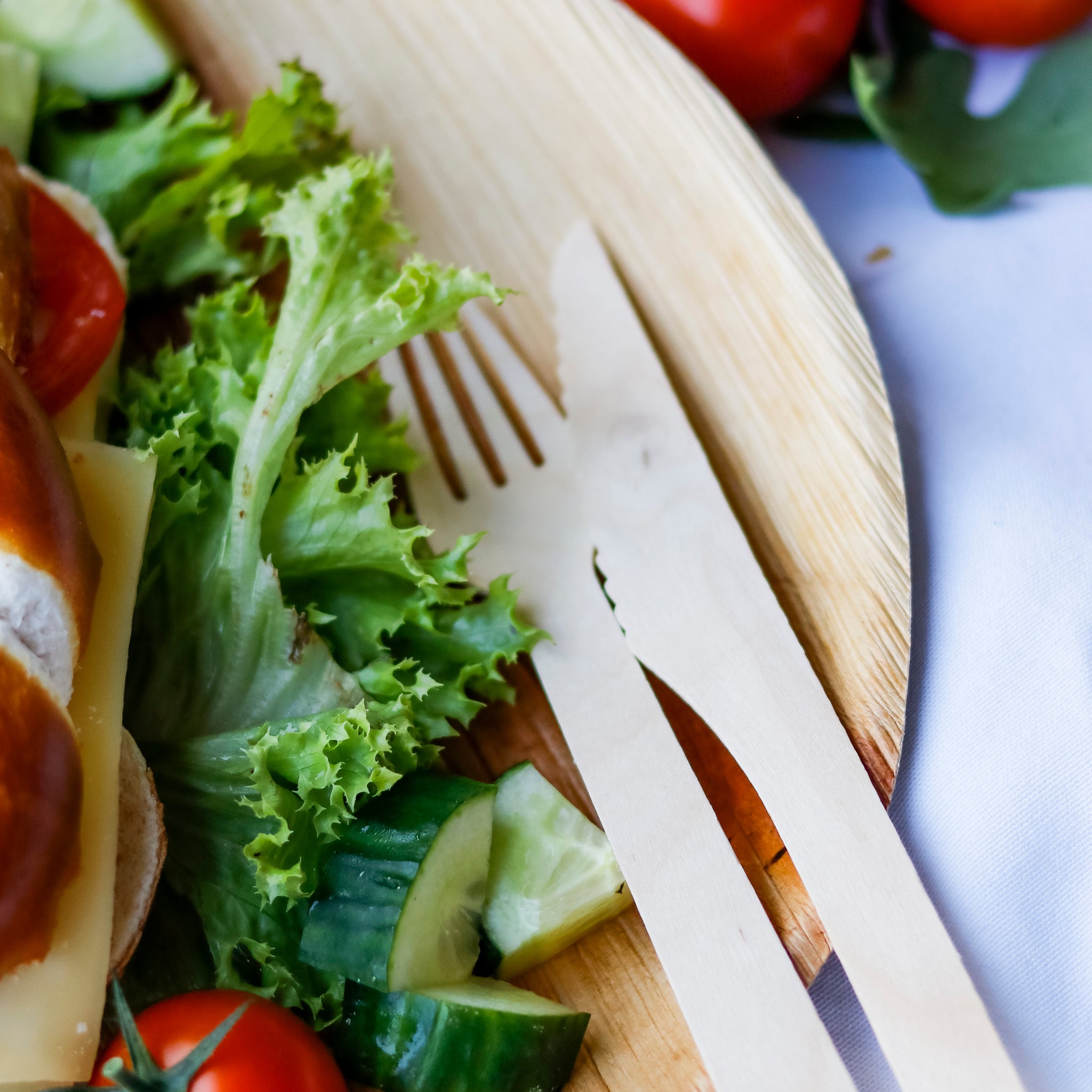 Wisefood - Sustainable disposable & reusable tableware - To Go packaging
