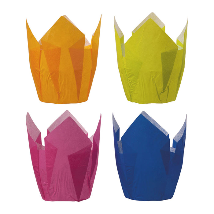 Paper muffin cups - colored (blue, yellow, green, pink)