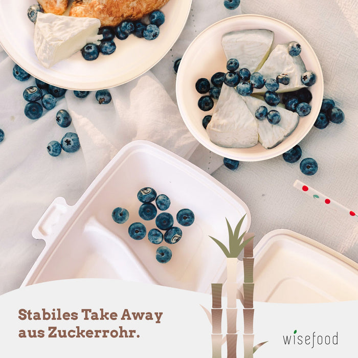 Bagasse Clamshell - 3 Fach - 46 x 20,3 x 4,6cm - (weiß)